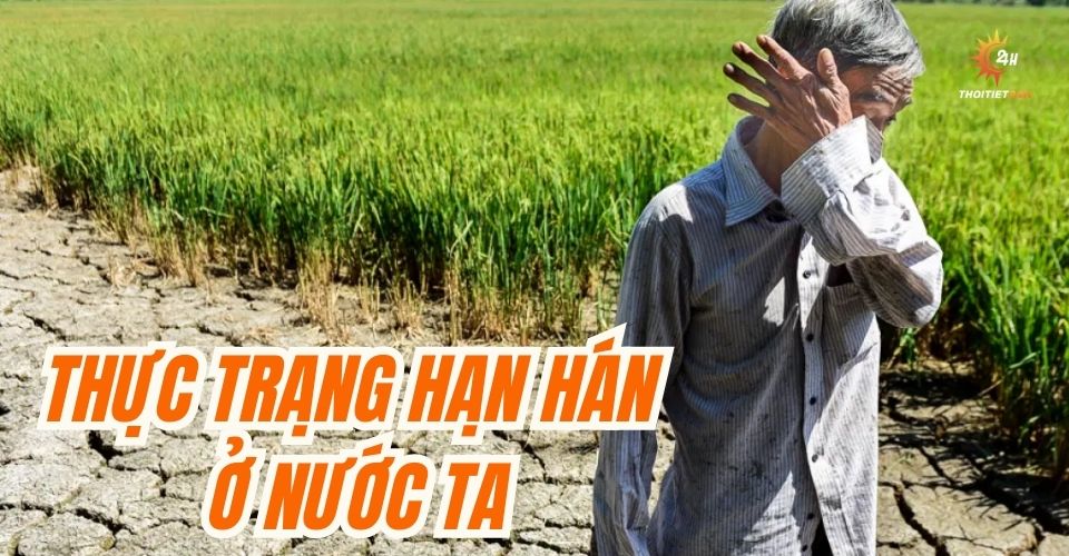 Hạn hán ở nước ta: Thực trạng, Nguyên nhân, và Giải pháp ứng phó hạn hán